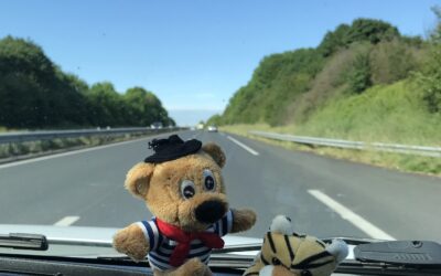 Hitting the Road Again